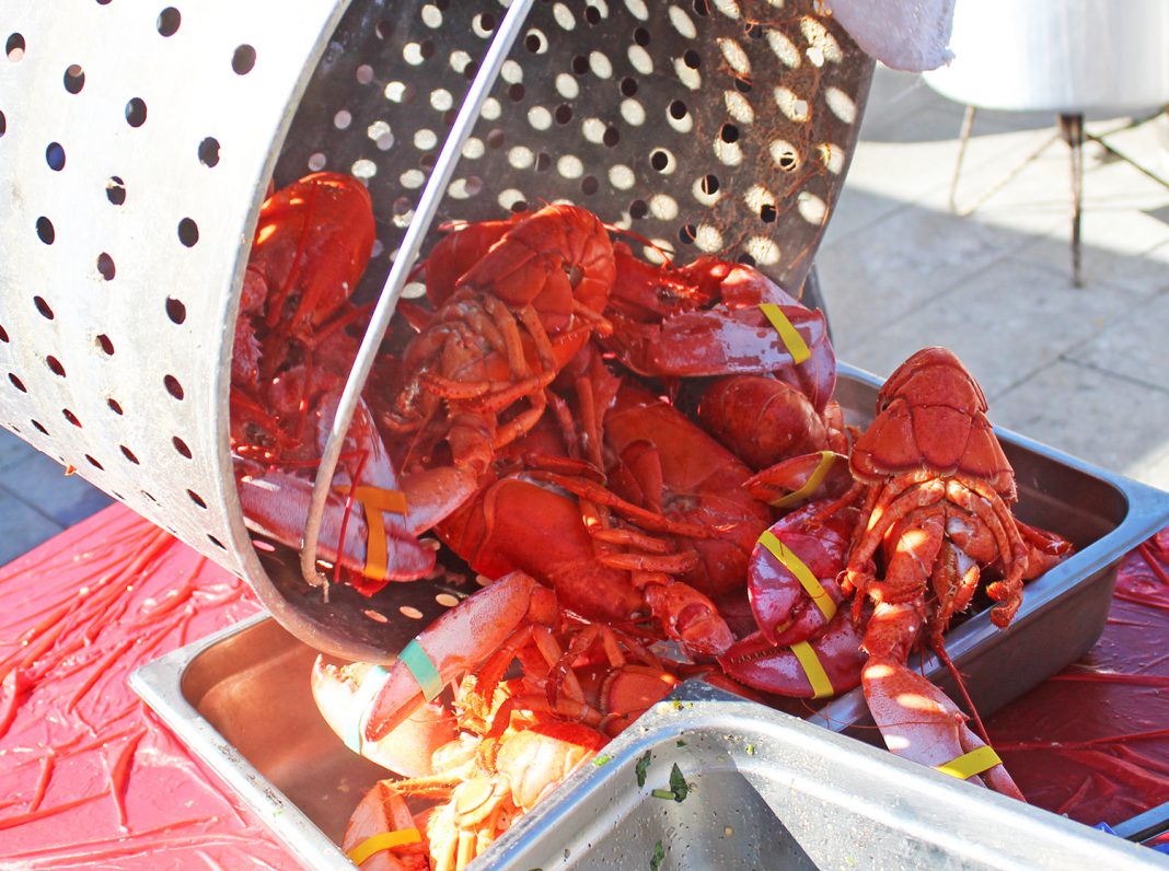 Lobster Lovers Raise Funds for Charity at Annual Newport Beach