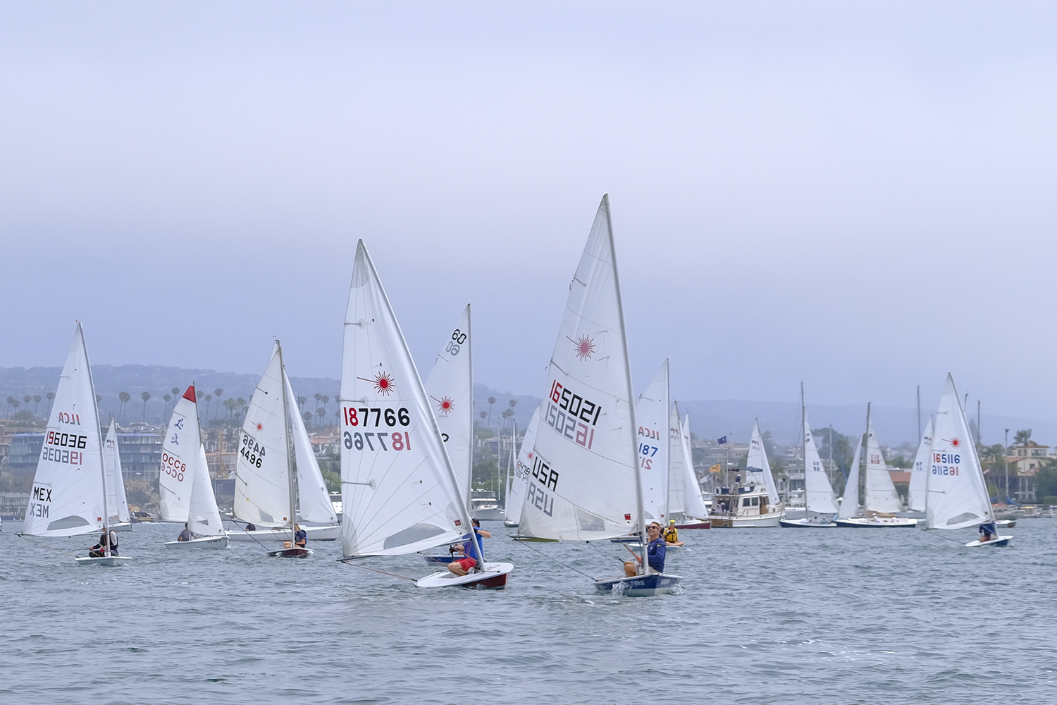 sailboat race newport