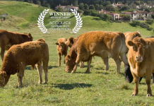 Newport Beach Historical Society presents ‘The Story of Irvine’ at Lido Theater February 4