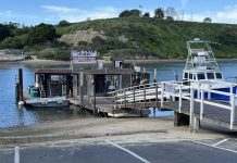 Newport’s 55-Year-Old Fish Story