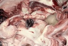 Gelato del Mar Celebrates Second Location on Balboa Island