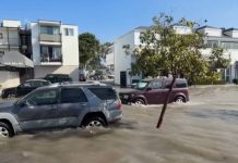 City of Newport Beach Declares Local Emergency as Tropical Storm Causes High Surf Conditions with Flooding on Balboa Peninsula